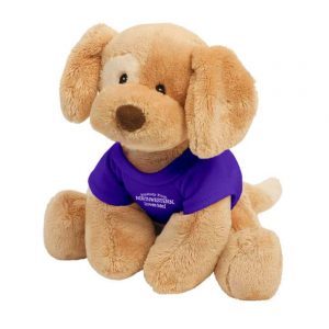 Northwestern Wildcats Riley Wearing Purple "Somebody From Northwestern Loves Me" Tee Shirt   