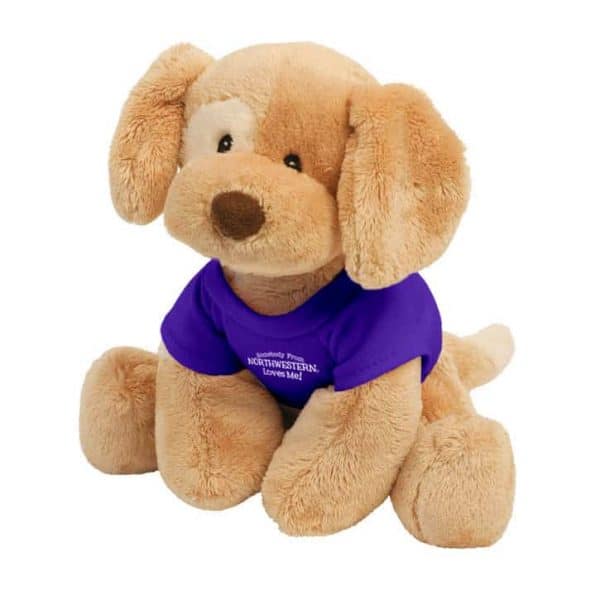 Northwestern Wildcats Riley Wearing Purple "Somebody From Northwestern Loves Me" Tee Shirt