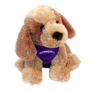 Northwestern Wildcats Bo Wearing Purple "Northwestern" Bandana      