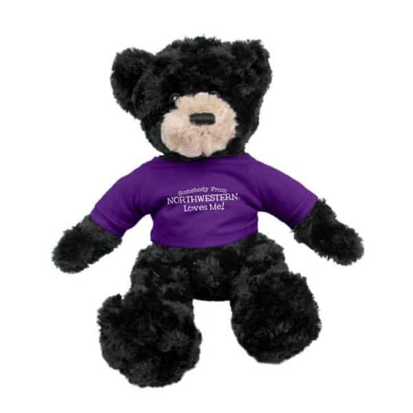Northwestern Wildcats Black Dexter Wearing Purple "Somebody From Northwestern Loves Me" Tee Shirt