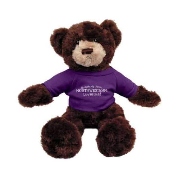 Northwestern Wildcats Brown Dexter Wearing Purple "Somebody From Northwestern Loves Me" Tee Shirt