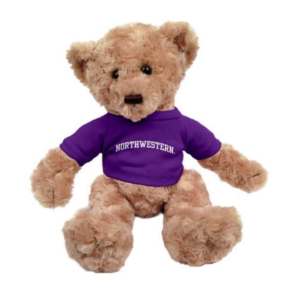 Northwestern Wildcats Tan Dexter Wearing Purple "Northwestern" Tee Shirt