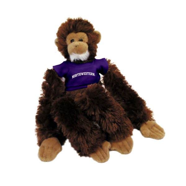 Northwestern Wildcats Brown Manny The Monkey Wearing Purple "Northwestern" Tee Shirt