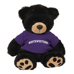 Northwestern Wildcats Teddy Bear Cooper Wearing Purple "Northwestern" Tee Shirt  