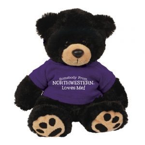 Northwestern Wildcats Teddy Bear Cooper Wearing Purple "Somebody From Northwestern Loves Me" Tee Shirt  