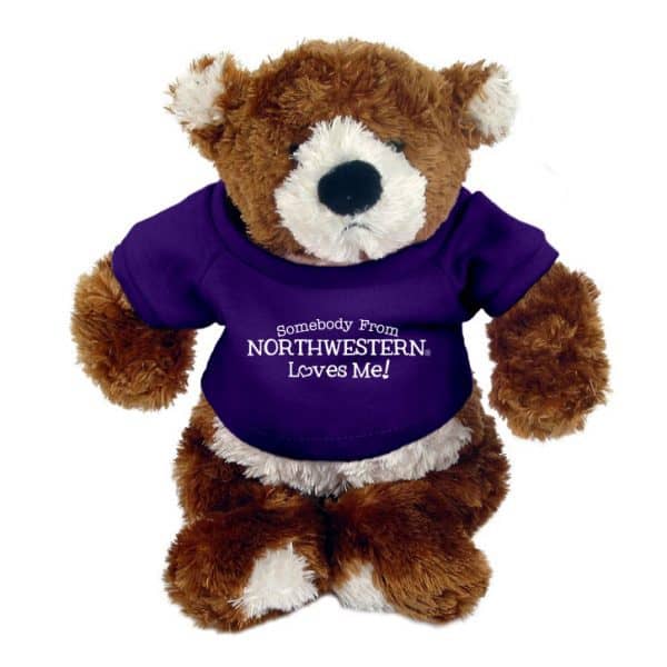Northwestern Wildcats Teddy Bear Spencer Jr. Wearing Purple "Somebody From Northwestern Loves Me" Tee Shirt