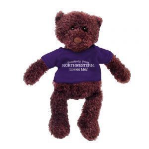 Northwestern Wildcats Gund Teddy Bear Phil Wearing Purple "Somebody From Northwestern Loves Me" Tee Shirt    