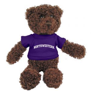 Northwestern Wildcats Teddy Bear Chocolate Tropical Wearing Purple "Northwestern" Tee Shirt   