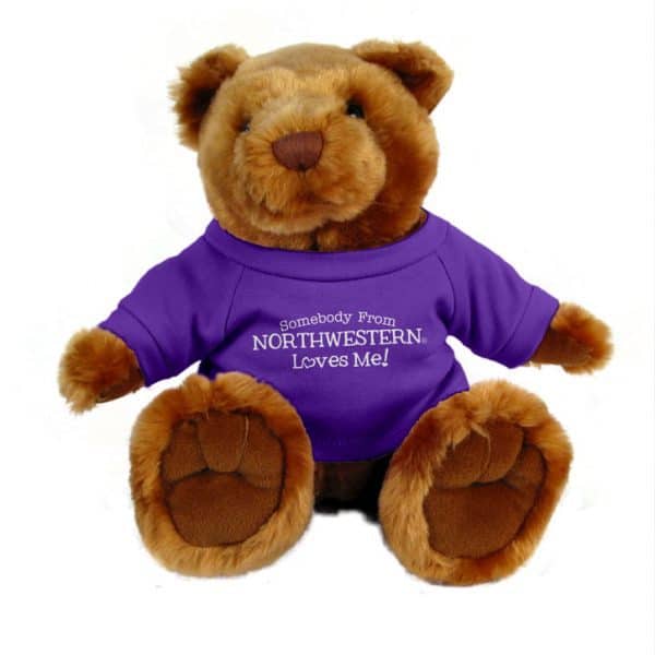 Northwestern Wildcats Teddy Bear Light Brown Knuckles Wearing Purple "Somebody From Northwestern Loves Me" Tee Shirt