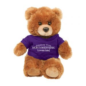 Northwestern Wildcats Teddy Bear Brown Buster Wearing Purple "Somebody From Northwestern Loves Me" Tee Shirt