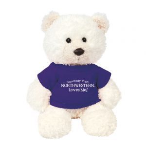 Northwestern Wildcats Teddy Bear Baxter Cream Wearing Purple "Somebody From Northwestern Loves Me" Tee Shirt  
