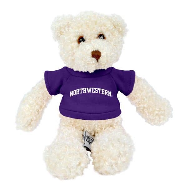 Northwestern Wildcats Teddy Bear Tropical Vanilla Wearing Purple "Northwestern" Tee Shirt