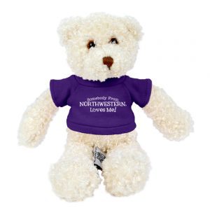 Northwestern Wildcats Teddy Bear Tropical Vanilla Wearing Purple "Somebody From Northwestern Loves Me" Tee Shirt 