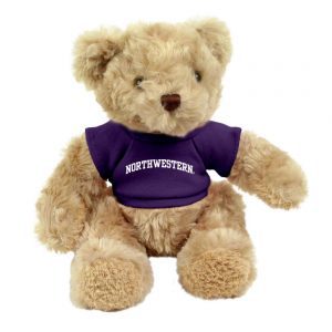 Northwestern Wildcats Teddy Bear Honey Bear Wearing Purple "Northwestern" Tee Shirt      
