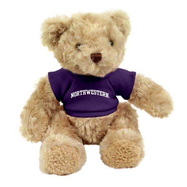 Northwestern Wildcats Teddy Bear Honey Bear Wearing Purple "Northwestern" Tee Shirt