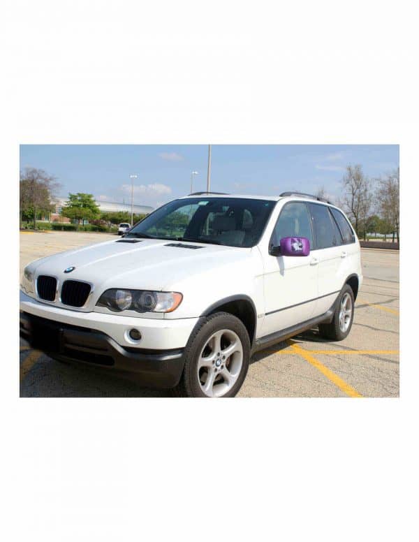 Northwestern Wildcats Auto Mirror Skin