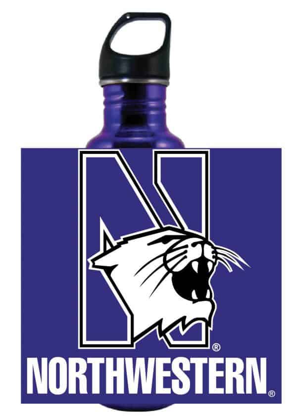 Northwestern Wildcats 32 oz. Excursion Stainless Steel Bottle with Multi Color "N-Cat Northwestern" Design