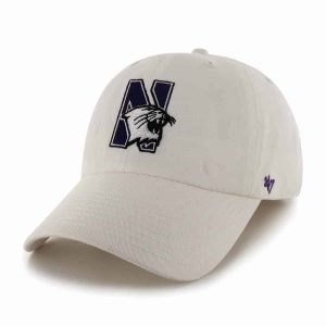 Northwestern Wildcats 47 Brand White Fitted Franchise Hat With N-Cat Design