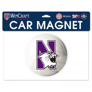 Northwestern University Wildcats Flexible Magnet with N-Cat Printed on a Multicolor Image of a Volleyball   Ball  6.1" x 6.1"