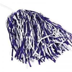 Northwestern University Wildcats Purple/White Pom-Poms With Long Stick Handle