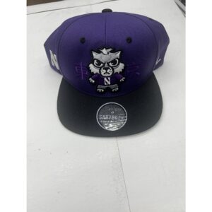 Northwestern University Wildcats Tokyodachi Purple Snapback Hat