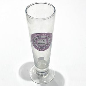 Northwestern Wildcats 14 oz. Tall Beer Glass with Seal Design