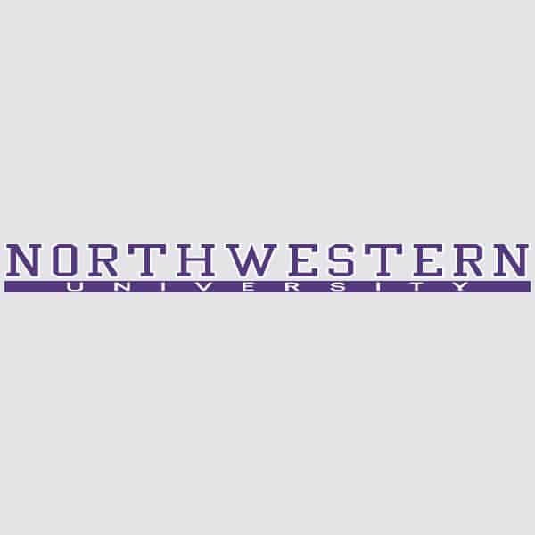 Northwestern University Wildcats N-cat Northwestern University Bar Design Long Outside Application Decal-1