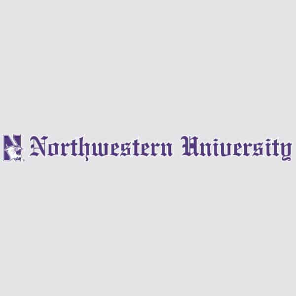 Northwestern University Wildcats N-cat Northwestern University Old English Letters Long Outside Application Decal-1