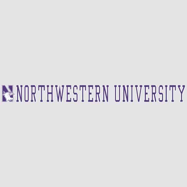 Northwestern University Wildcats N-cat Northwestern University Block Letters Long Outside Application Decal-1