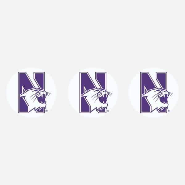 Northwestern University Wildcats Golf Ball Pack of 3 with N-Cat Design