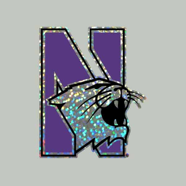 Northwestern University Wildcats Holographic N-cat Design Outside Application Decal-3