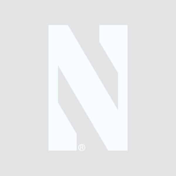 Northwestern University Wildcats One Color Stylized N Design Outside Application Decal-2