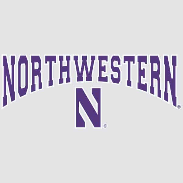 Northwestern University Wildcats Arched Northwestern Over N Outside Application Decal-2