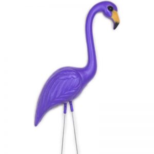 Northwestern Wildcats Purple Flamingo