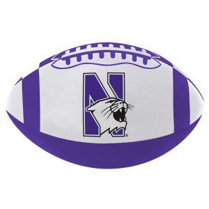 Northwestern Wildcats Softee Football 6"