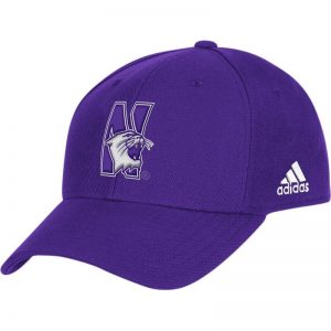 Northwestern University Wildcats Purple Constructed Flexfit Hat with N-Cat Design