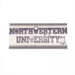 Northwestern University Wildcats Vintage Sport Design Inside Application Window Decal 3.25"X7"