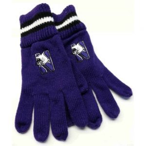 Northwestern University Wildcats Adult PurpleKnit Gloves