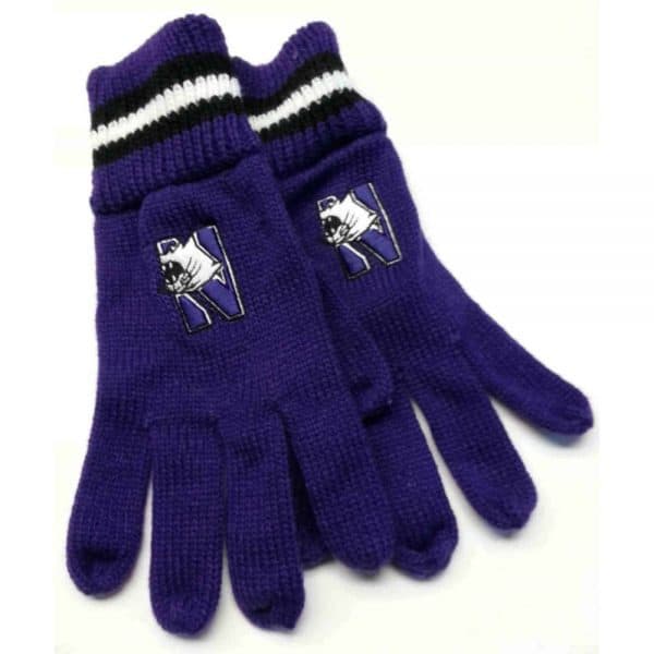 Northwestern University Wildcats Adult PurpleKnit Gloves