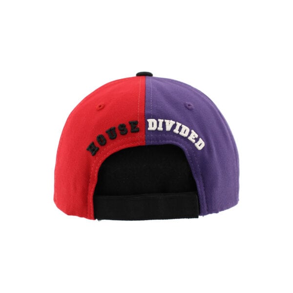 Northwestern University Wildcats House Divided Hat with Rutgers Scarlet Knights-Back