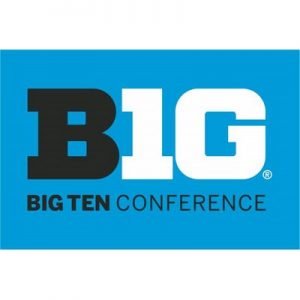 Northwestern University Wildcats Big Ten Conference 3'X5' Flag