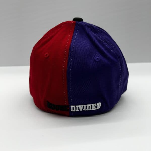 Northwestern University Wildcats House Divided Hat with Wisconsin Badgers-Back