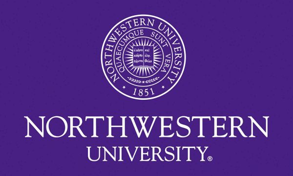 Northwestern University Wildcats 3'X5' Flag With The N-cat Design - Image 2