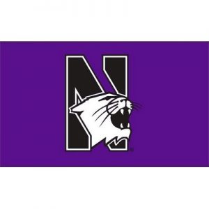 Northwestern University Wildcats 3'X5' Purple Flag With The N-cat Design