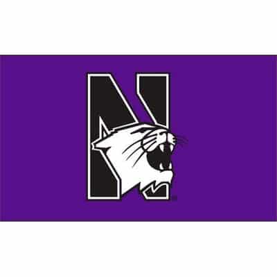 Northwestern University Wildcats 3'X5' Purple Flag With The N-cat Design