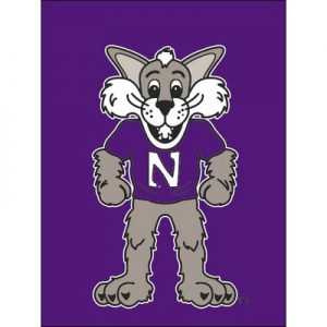 Northwestern University Wildcats 12"X18" Purple Garden Flag with Willie the Wildcat Design