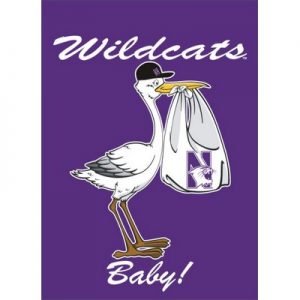 Northwestern University Wildcats 30"X40" Purple Banner Flag with Wildcats Baby Design