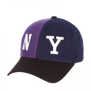 Northwestern Wildcats House Divided Hat with Yale Bulldogs