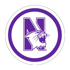Northwestern University Wildcats 9" Paper Plates