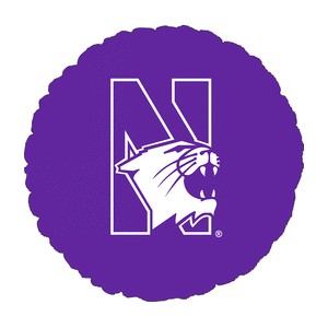 Northwestern University Wildcats Large Purple Foil Balloon 18"Hx18"W
